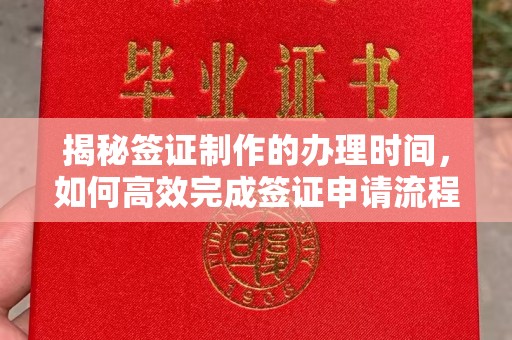 临邑揭秘签证制作的办理时间，如何高效完成签证申请流程