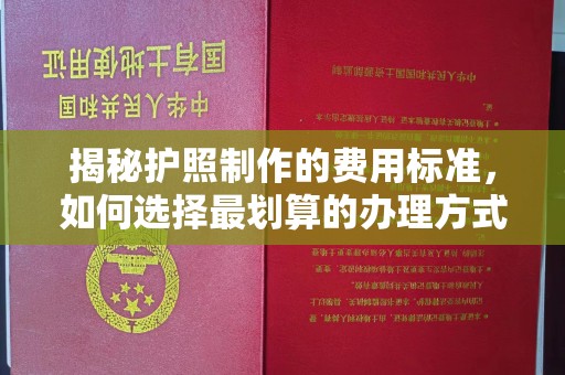 临邑揭秘护照制作的费用标准，如何选择最划算的办理方式？