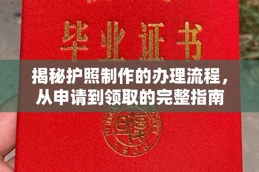 临邑揭秘护照制作的办理流程，从申请到领取的完整指南